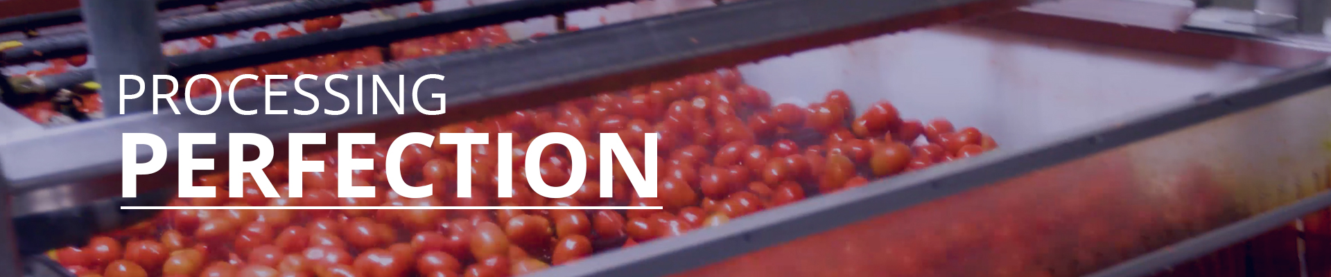 Weil's Food Processing Ltd banner1