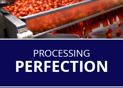 Weil's Food Processing Ltd banner2